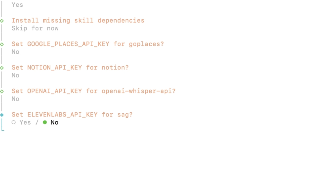 OpenClaw onboarding 技能相关 API Key 询问页