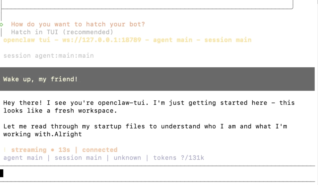 OpenClaw onboarding Hatch in TUI 页面